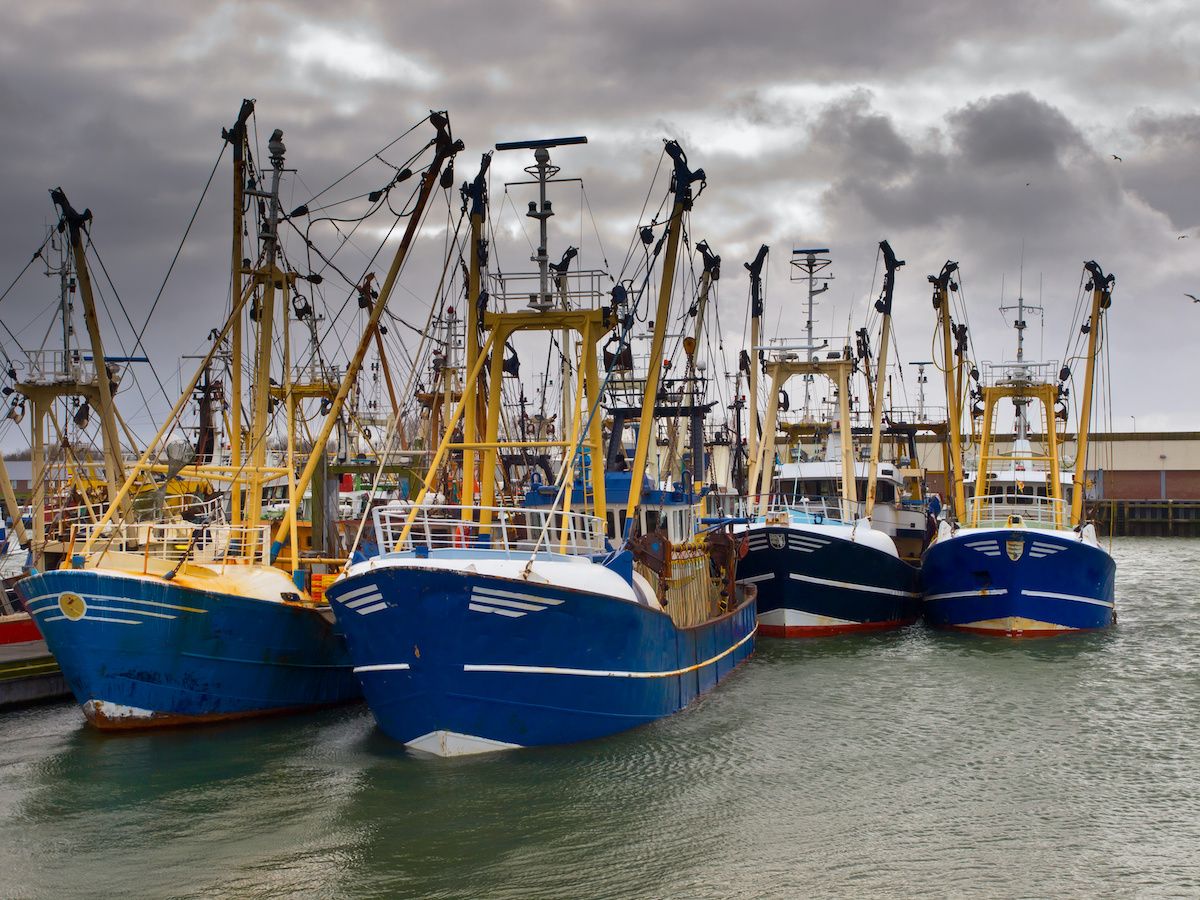 European Fisheries stakeholders view Global Warming as a main Challenge to sustainably managing fisheries